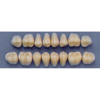 ULTRADENT POST. 31L/67 UPPER (1x8 CARD) Card