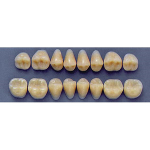 ULTRADENT POST. 33F/A2 UPPER (1x8 CARD) Card