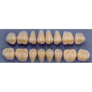 ULTRADENT POST. 33L/77 UPPER (1x8 CARD) Card