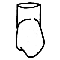 WILLIAMS FRASACO TYPE CROWNS 443 5/PK Pack