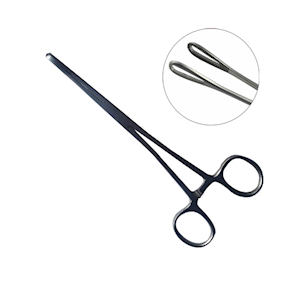 Livingstone Rampleys Sponge Holdings Forceps