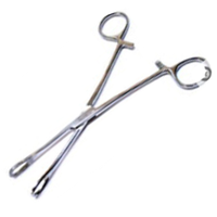 Livingstone Rampleys Sponge Holdings Forceps, 25cm, Straight, Stainless Steel, Each Each