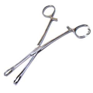 Livingstone Rampleys Sponge Holdings Forceps, 25cm, Straight, Stainless Steel, Each Each