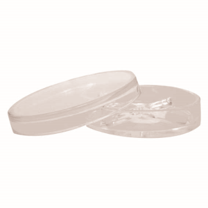 Ainsworth Petri Dish, 100 Diameter x 23 Height mm, with 4 Sectors, with Lid, Each Each