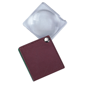 Livingstone Magnifier